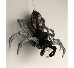 Spider