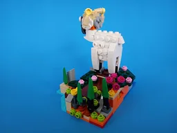 40593 - Sheep