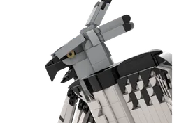 Harpy Eagle