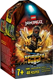 Spinjitzu Burst Cole