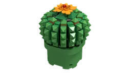 Flowering Potted Succulent Plant