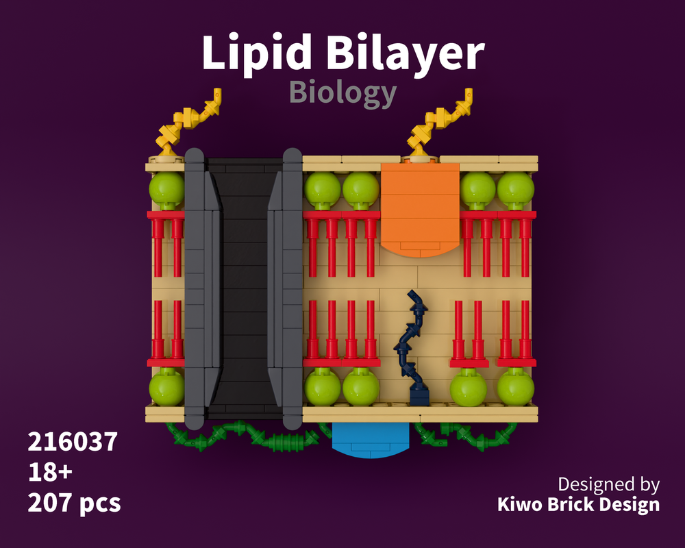 Lego Lipid Bilayer