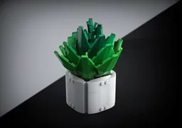 Miniature Desktop Fern