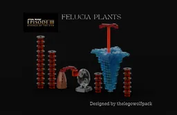 Felucia plants