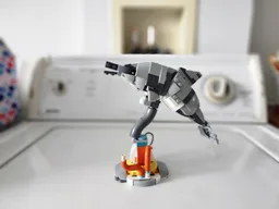 31163 Dolphin