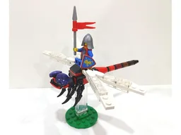 Insect Collection