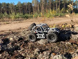 SKELETON BAJA BUGGY RWD