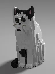 Cat (black & white) sitting