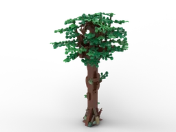 Common Oak Tree (Quercus Robur)