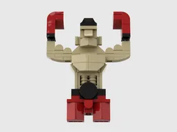 The Boxer