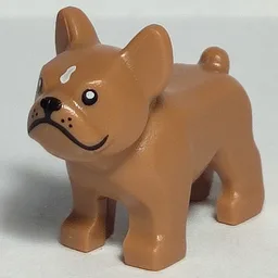 Animal, Dog, French Bulldog, Grumpy Face with Black Nose and Mouth, White Spot on Forehead Print / Medium Nougat