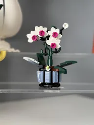 Micro Orchid
