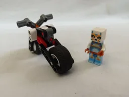 42106 Small Bike
