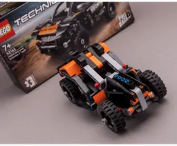 42166 Desert Bug
