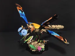 Dragonfly