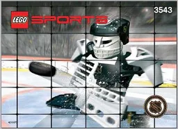 Slammer Goalie