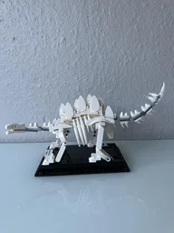 Stegosaurus Fossil