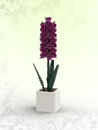 Hyacinth (BT013)