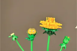 Dandelion