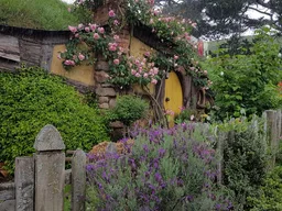 Hobbiton - Section 5