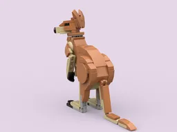 Red Kangaroo