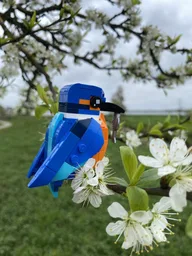 Kingfisher