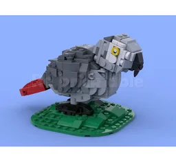 African Grey Parrot