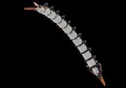 Ice Worm Leviathan from Subnautica Below Zero