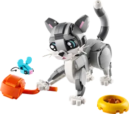 Playful Cat