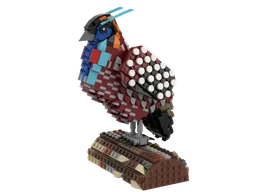 Temminck’ｓ Tragopan