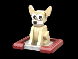 Chihuahua