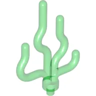 Plant, Sea Grass / Trans-Green