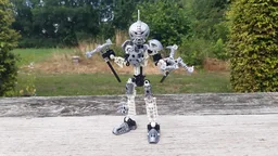 Toa Mangai of Ice - Rode