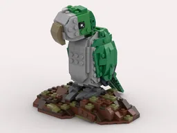 Quaker Parrot