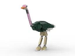 31121 ostrich