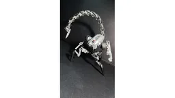NERVELASH - Biotarget Acquisition Frame