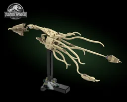 Tusoteuthis fossil