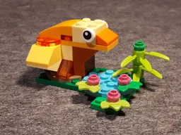 11011 Frog