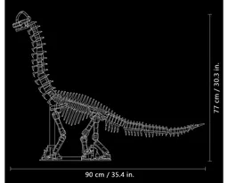Brachiosaurus fossil