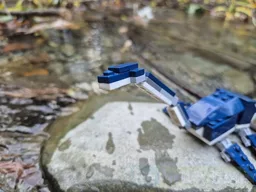 Elasmosaur