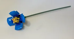 Blue Poppy