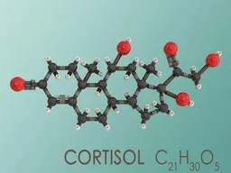 Cortisol (C21H30O5)