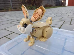 Pooping Cute Bunny