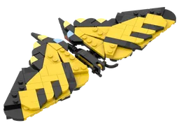 Western Tiger Swallowtail (Papilio rutulus): The Insect Collection