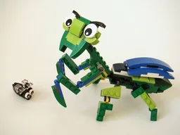 31031: Mantis