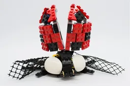 Ladybug