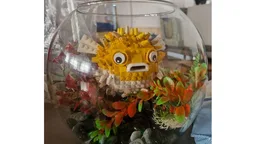 Pufferfish