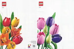 Tulip Bouquet