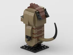 Timon