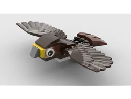 Broad-winged Hawk MOC